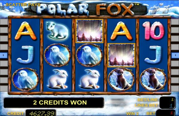 Игровой автомат Polar Fox играть онлайн!